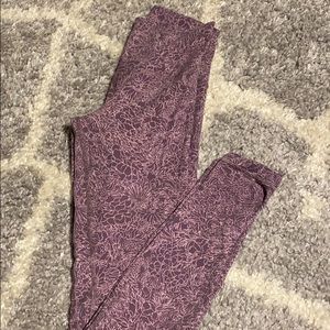 Purple lulu aligns 25’